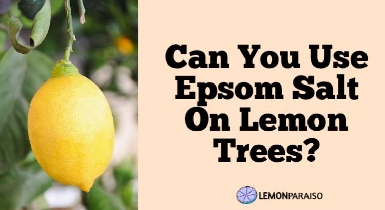 can you use epsom salt on lemon trees