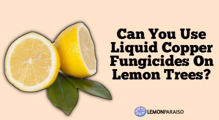 can you use liquid copper fungicides on lemon trees