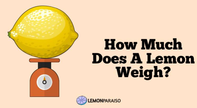 how much does a lemon weigh