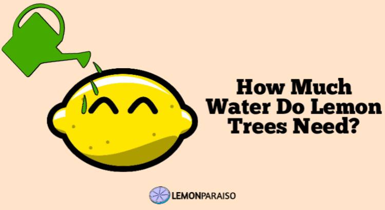 how much water do lemon trees need