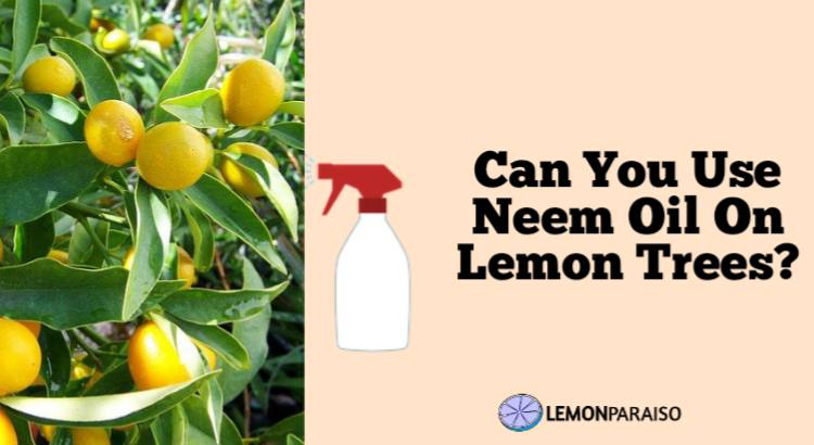 can you use neem oil on lemon trees