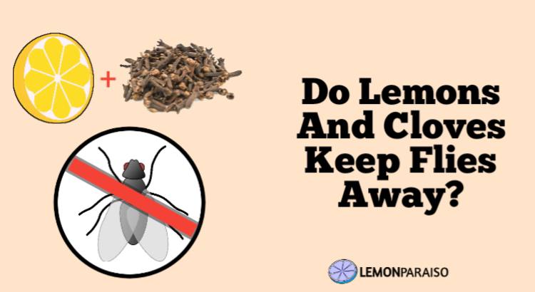 Do Lemons And Cloves Keep Flies Away?
