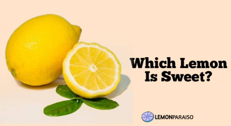 which lemon is sweet