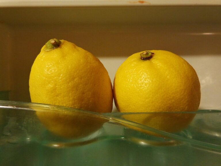 Do Lemons Need to be Refrigerated?